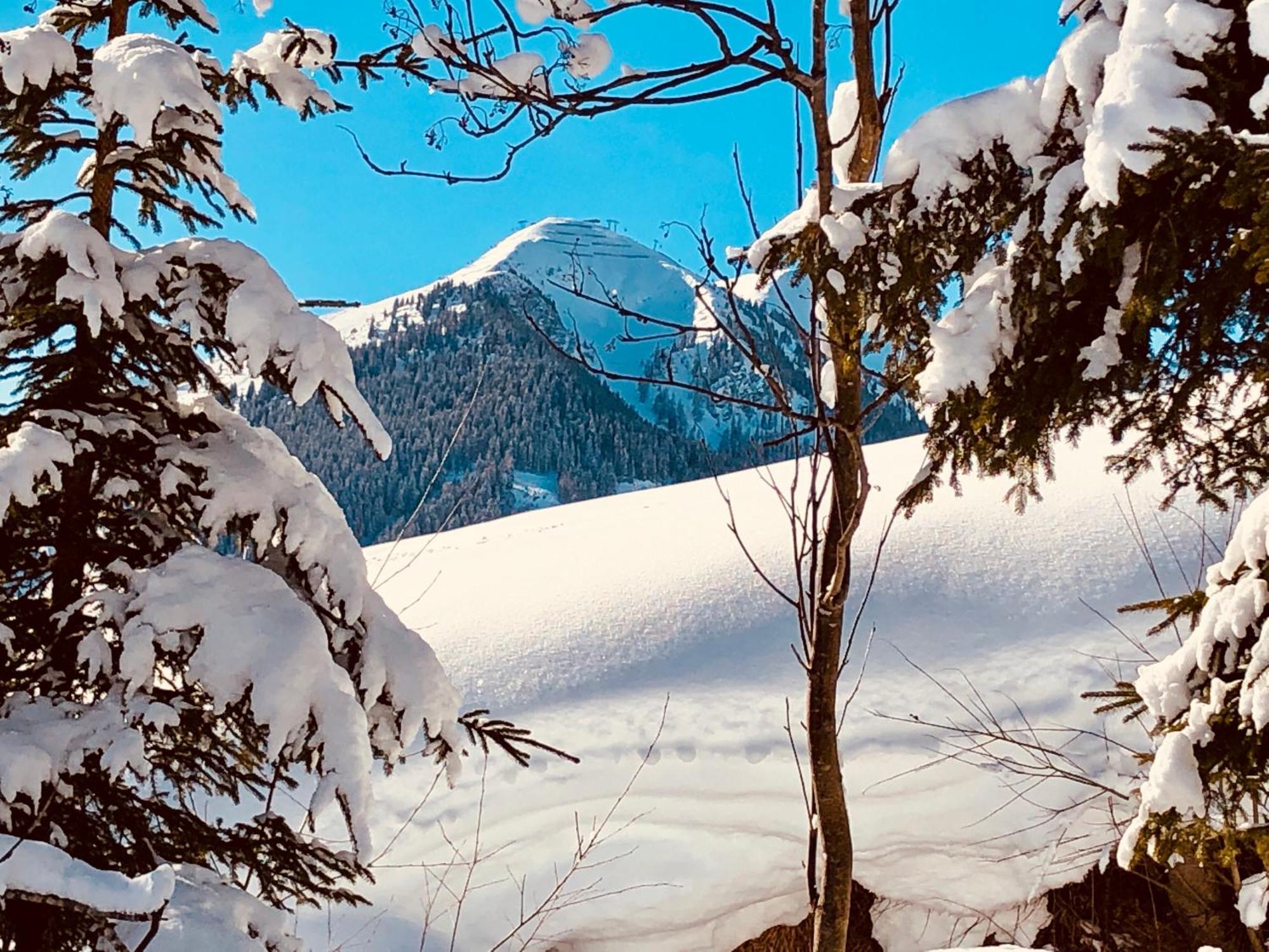 Appartements Living Saalbach Bagian luar foto